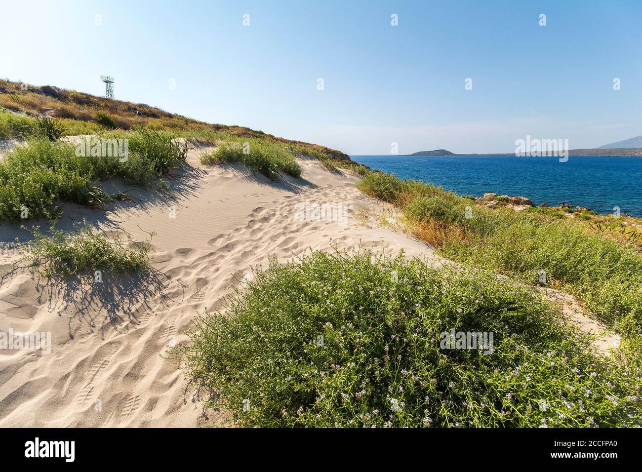 Sanddünen auf der Halbinsel Elafonisi am Strand Elafonissi mit rosa Sand, südwestlich von Kreta, Griechenland Stockfoto