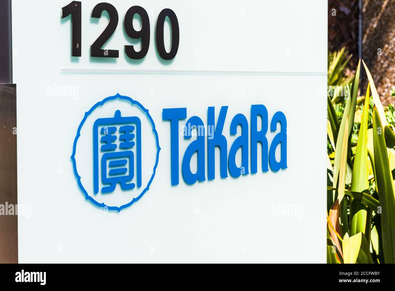 Aug 3, 2020 Mountain View / CA / USA - Takara Zeichen an ihren Silicon Valley Büros; Takara Bio USA, Teil der japanischen Gruppe Takara Holdings, ist ein m Stockfoto