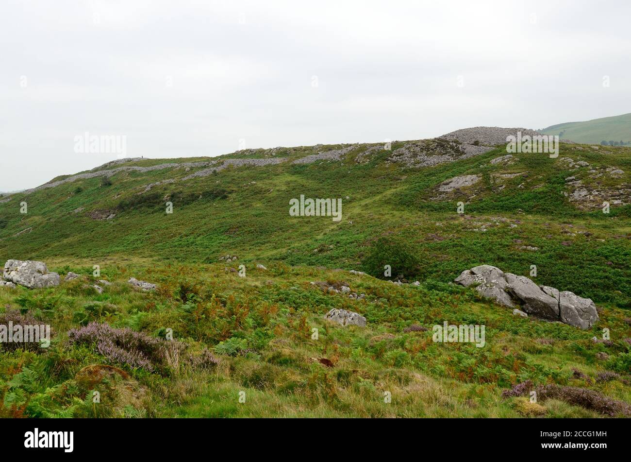 Fußweg zum Gipfel des Garn Fawr Iron Age Hill fort mit bronzezeitlichen Ursprüngen Garn Goch Black Mountain Brecon Beacons National Park Wales Stockfoto