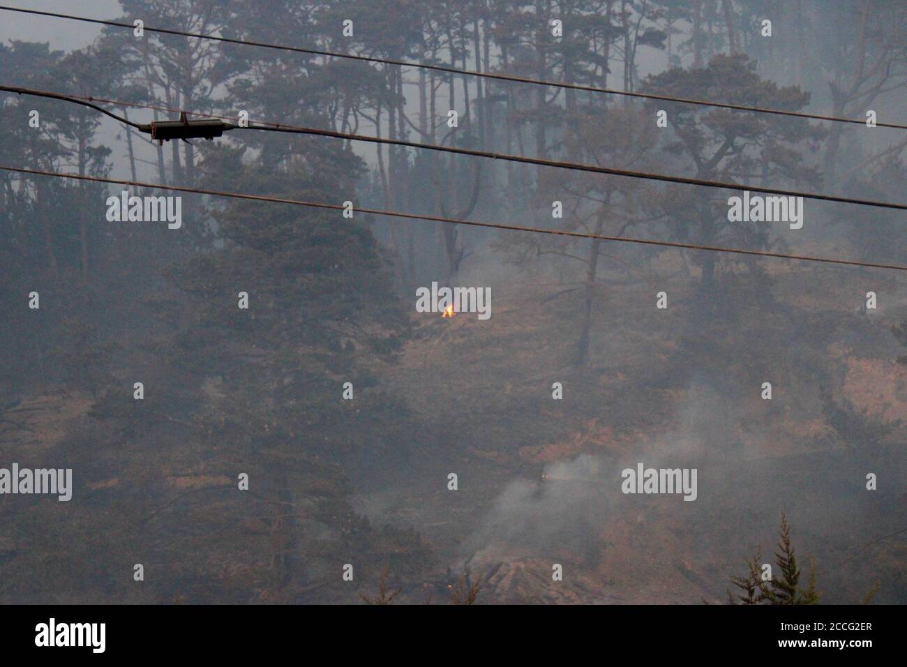 22. August 2020, Santa Cruz/Davenport, California, USA: CZU Lightning Complex Feuer: Highway 1 nördlich von Santa Cruz: ..Rauchembratbrand um den Sonnenuntergang am 21. August wieder entzündet, nachdem das Feuer Dutzende Häuser gestern auf dem landschaftlich reizvollen Abschnitt des Highway 1, auch bekannt als Cabrillo Highway, zwischen den Städten Santa Cruz und Pescadero zerstört hatte, Eine landschaftlich schöne 35 Meilen oder 56 km lange Fahrt entlang des Pazifischen Ozeans, der durch Rauch getrübt, evakuiert und stillgelegt wurde.von der Küste entlang der Rückseite des Big Basin State Park, in der Nähe der Last Chance Road, Anfang dieser Woche standen die Bewohner an vorderster Front für drei aufeinander folgende Brände Stockfoto
