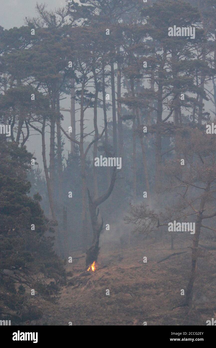 22. August 2020, Santa Cruz/Davenport, California, USA: CZU Lightning Complex Feuer: Highway 1 nördlich von Santa Cruz: ..Rauchembratbrand um den Sonnenuntergang am 21. August wieder entzündet, nachdem das Feuer Dutzende Häuser gestern auf dem landschaftlich reizvollen Abschnitt des Highway 1, auch bekannt als Cabrillo Highway, zwischen den Städten Santa Cruz und Pescadero zerstört hatte, Eine landschaftlich schöne 35 Meilen oder 56 km lange Fahrt entlang des Pazifischen Ozeans, der durch Rauch getrübt, evakuiert und stillgelegt wurde.von der Küste entlang der Rückseite des Big Basin State Park, in der Nähe der Last Chance Road, Anfang dieser Woche standen die Bewohner an vorderster Front für drei aufeinander folgende Brände Stockfoto