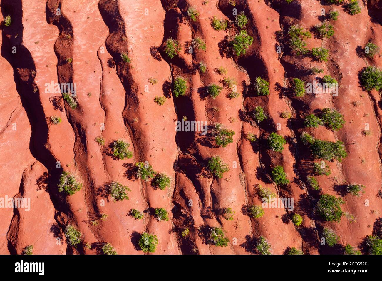 Erodierter Berghang, Sträucher auf rotem Boden, bei Agulo, Drohnenschuss, La Gomera, Kanarische Inseln, Spanien Stockfoto