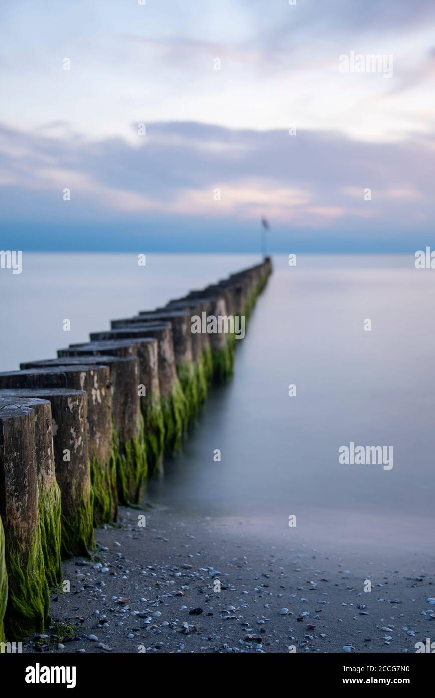 Wellenbrecher auf der Insel Hiddensee Stockfoto