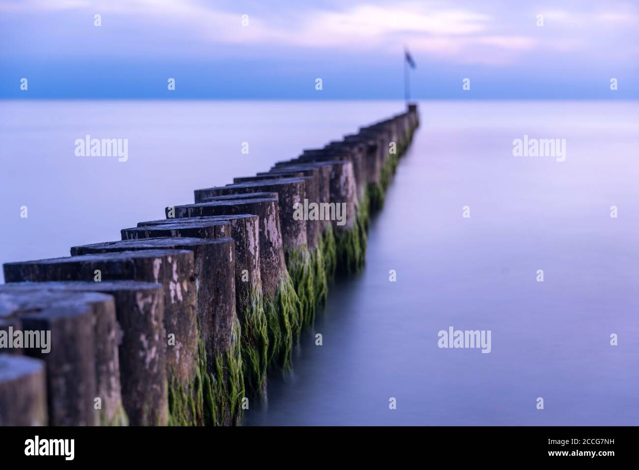 Wellenbrecher auf der Insel Hiddensee Stockfoto