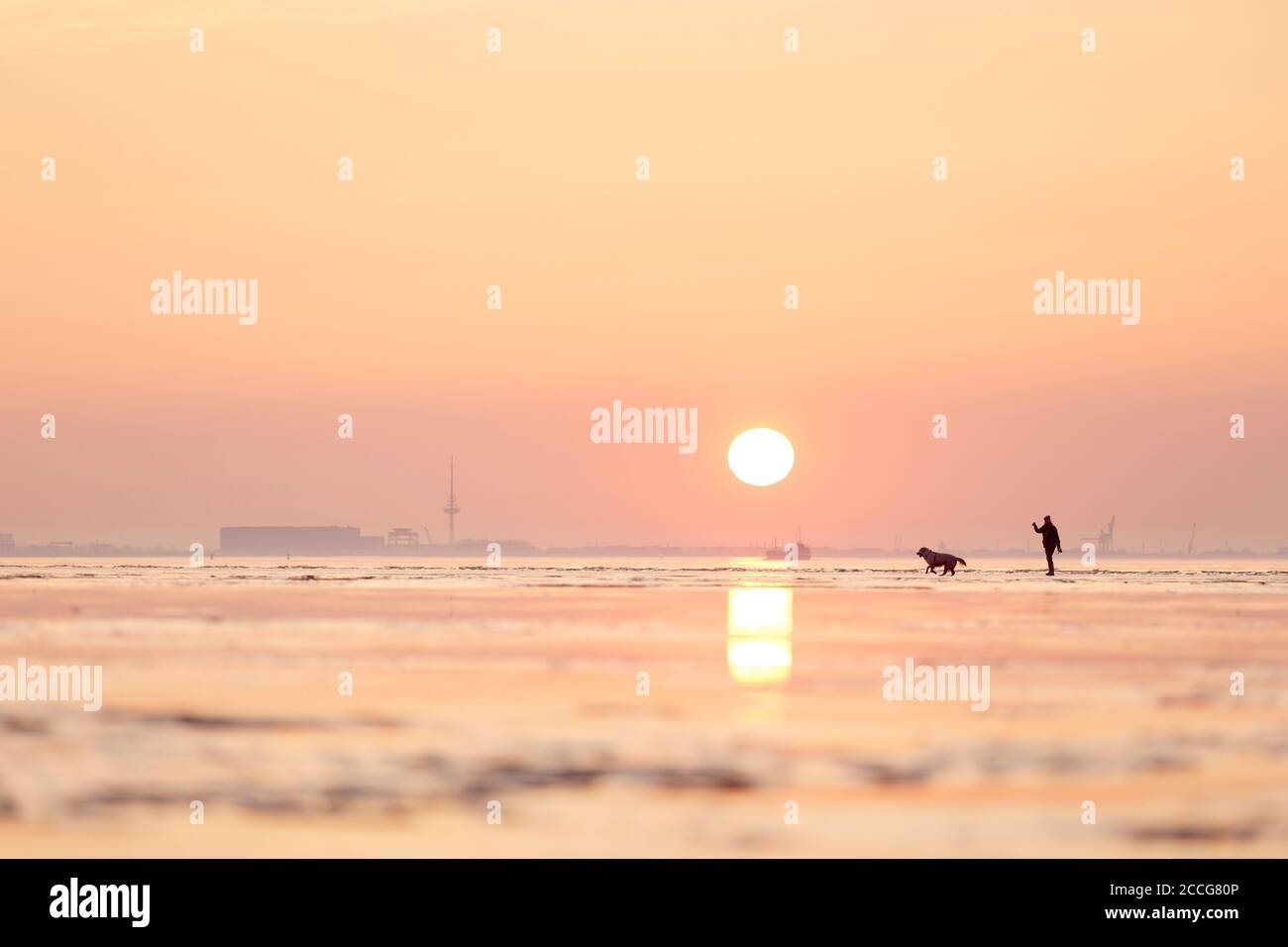 Europa, Deutschland, Niedersachsen, Otterndorf. Im sanften Licht der untergehenden Sonne geht eine Frau mit ihrem Hund durch das Watt. Stockfoto