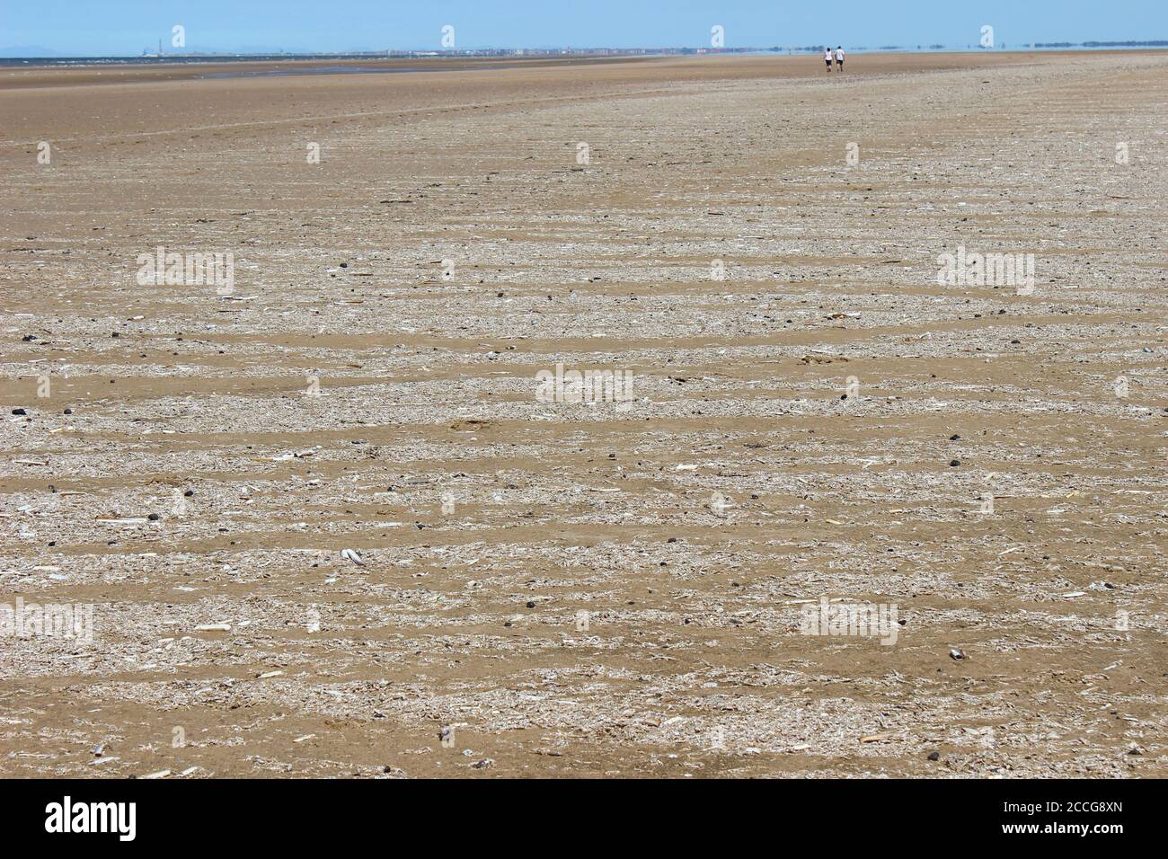 Low Tide am Ainsdale Beach Sefton Coast UK zeigt Strandline Ausgewaschene Sandmason-Wurmrohre und Razorshells Stockfoto