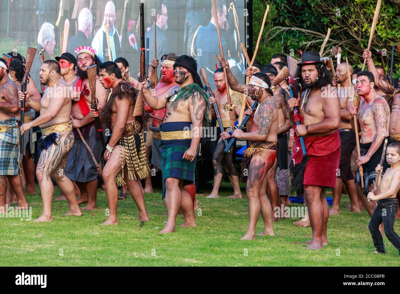 Neuseeländische Maori als Krieger gekleidet beim 150. Jahrestag der Schlacht am Tor Pa. Tauranga, Neuseeland, 4/29/2014 Stockfoto
