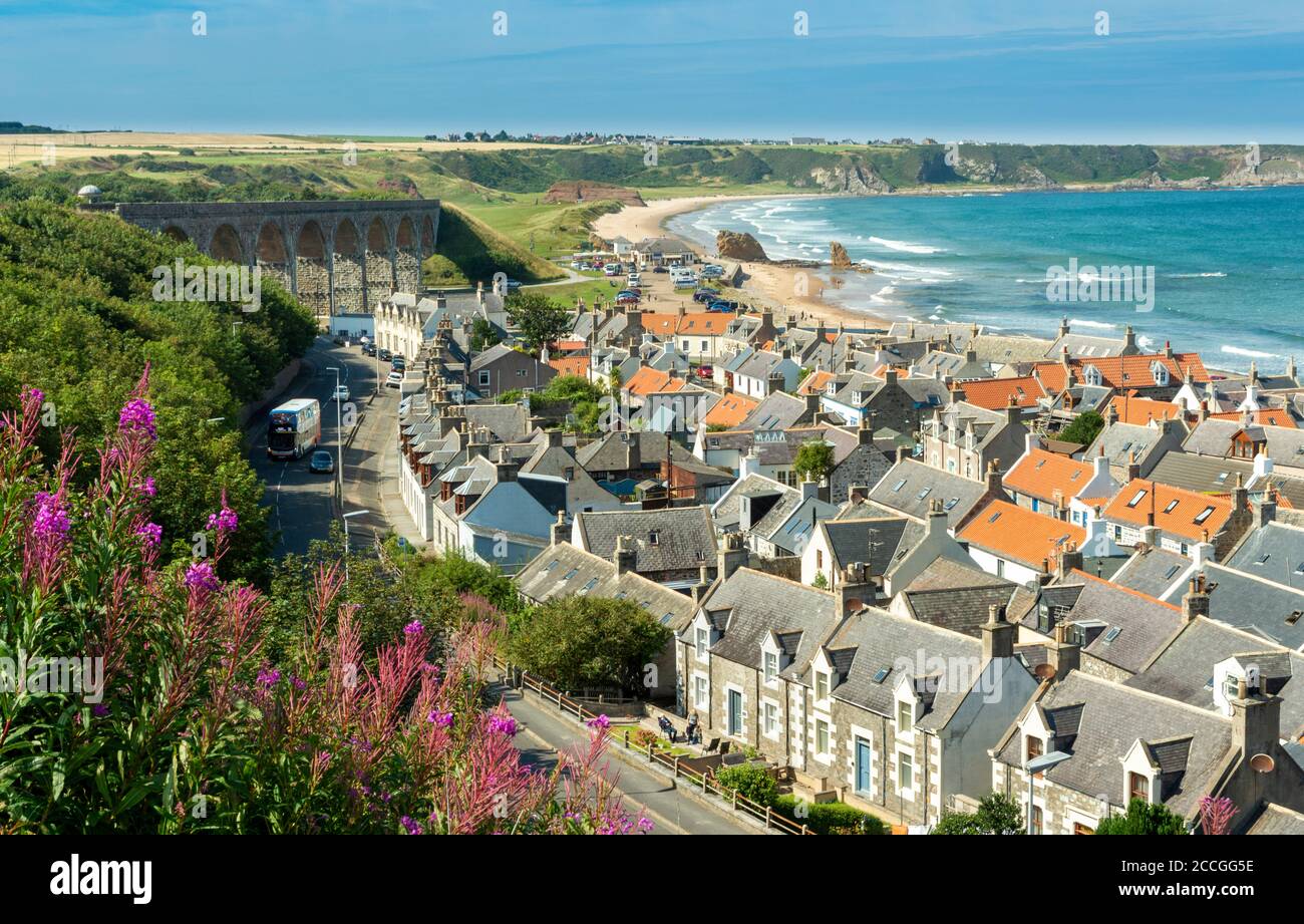 CULLEN BAY MORAY COAST SCOTLAND SEATOWN HÄUSER UND VIADUKT ROSE BAY WILLOW KRÄUTERBLÜTEN CHAMAENERION ANGUSTIFOLIUM UND EIN BLAUES GRÜN MEER Stockfoto