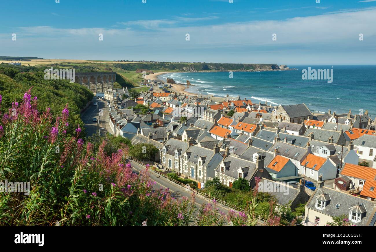 CULLEN BAY MORAY COAST SCOTLAND AUF SEATOWN BEFINDET SICH DIE VIADUKTROSE BAY WILLOW KRÄUTERBLÜTEN CHAMAENERION ANGUSTIFOLIUM UND EIN BLAUES GRÜN MEER Stockfoto