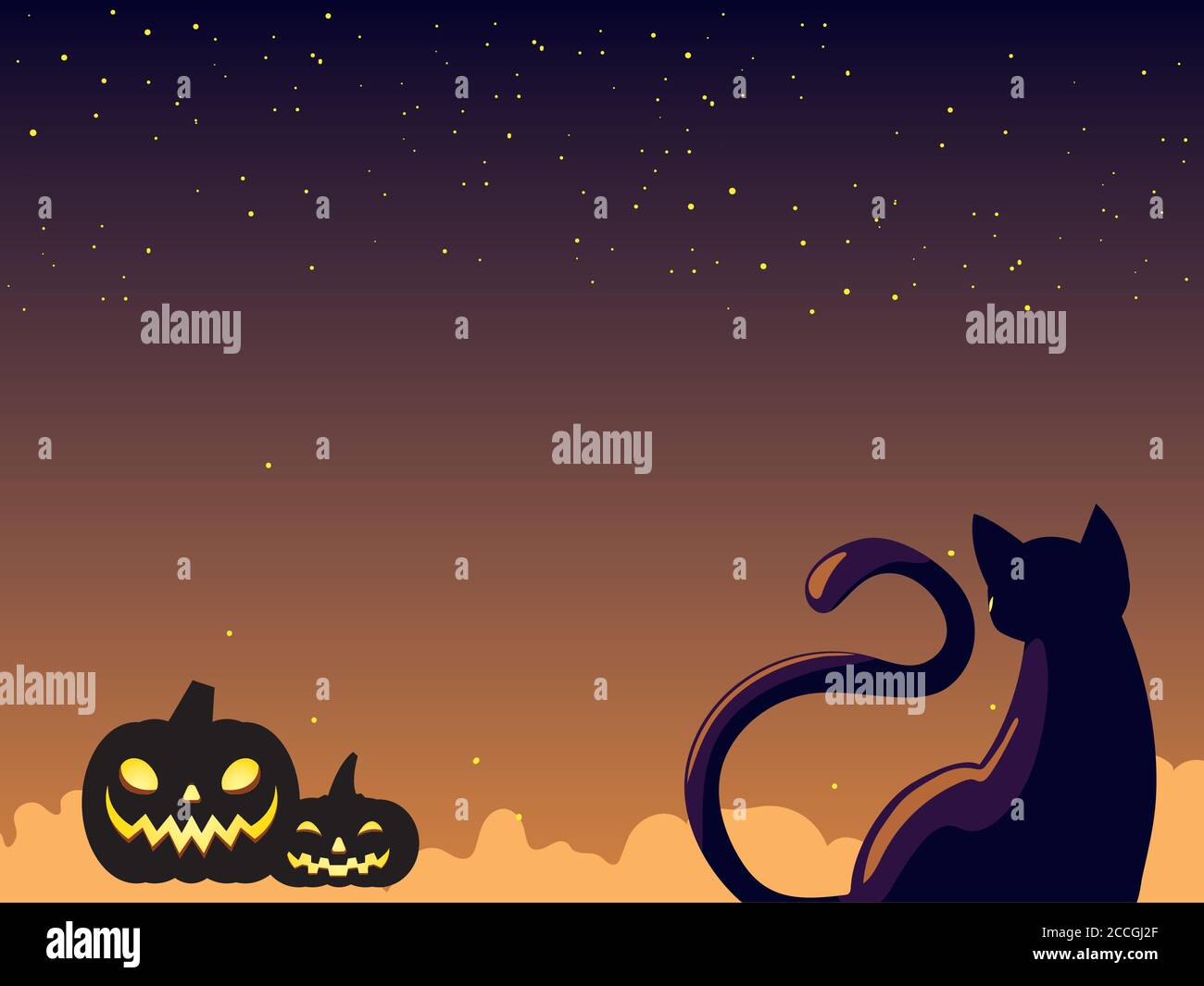 nacht katze stockfotos und bilder kaufen alamy