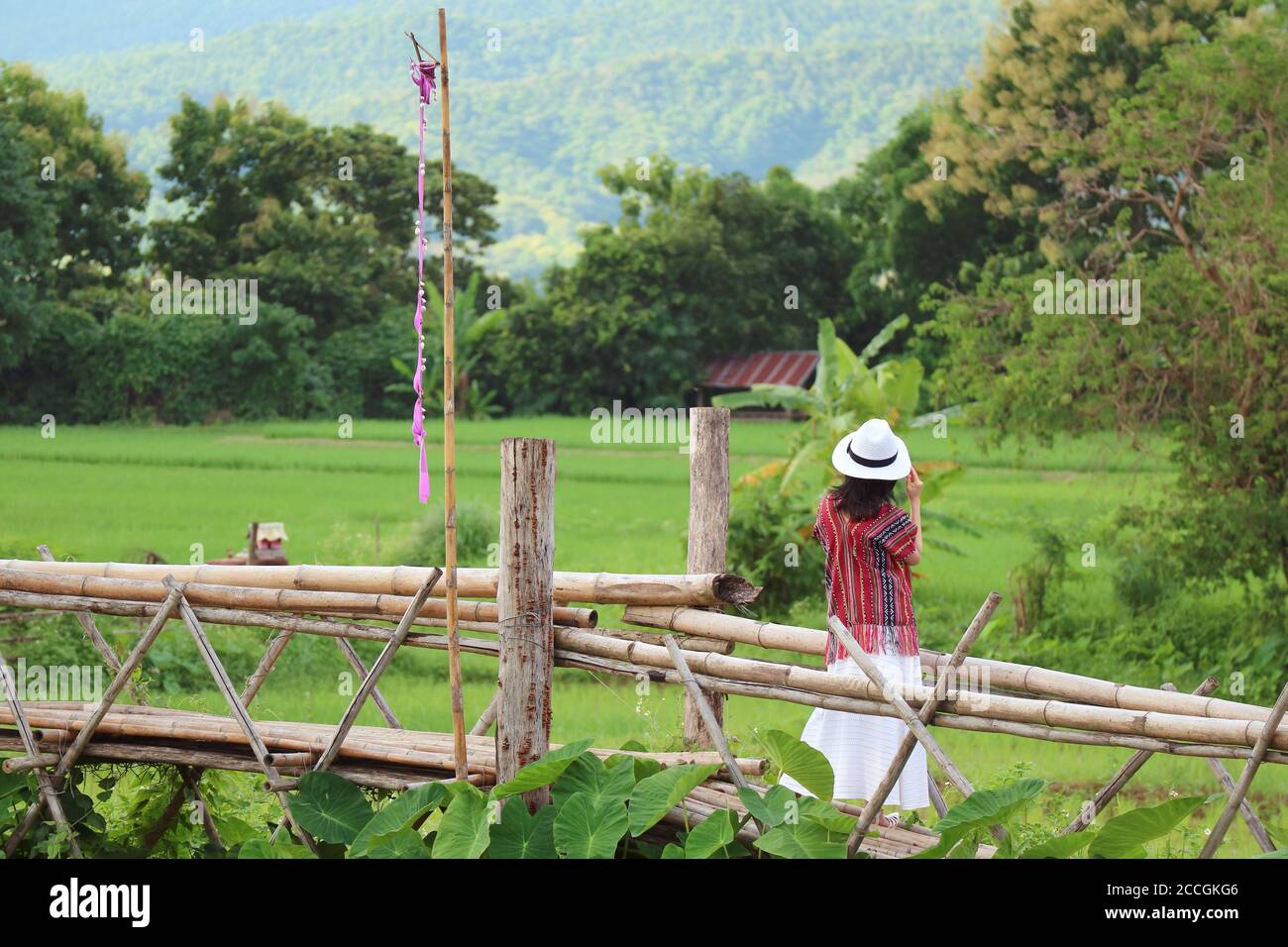 Frau genießen Sie die schöne Aussicht auf lebendige grüne Reisfeld Von einer Bambusbrücke Stockfoto