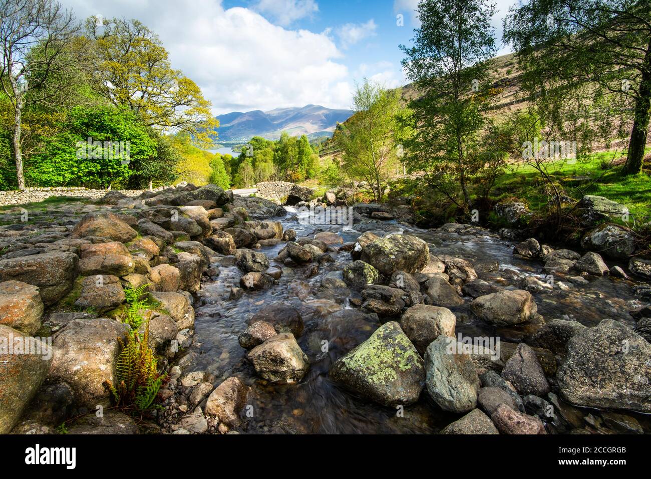 An einem Frühlingsmorgen an der Ashness Bridge mit dem Skiddaw Berg im Hintergrund das Licht erhellt. In der Nähe von Derwentwater, Lake District, Cumbria, England, Großbritannien Stockfoto