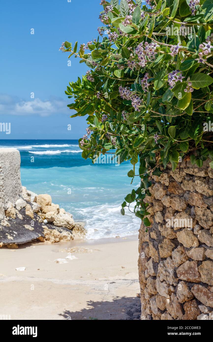 Beliebte Melasti Beach (Pantai Melasti), Bukit, Bali, Indonesien. Türkisfarbenes Wasser, Felsen, Meereslandschaft. Stockfoto