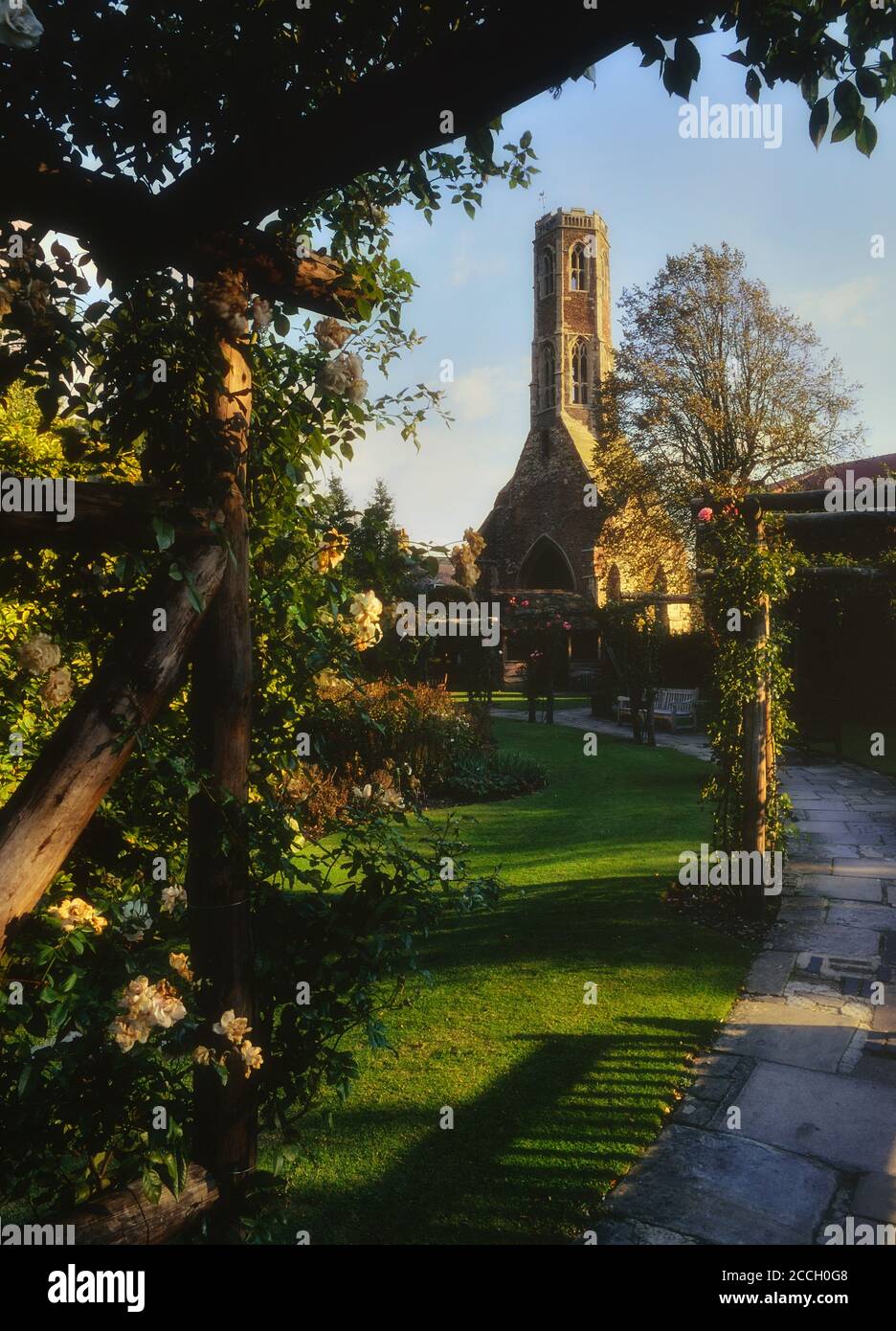 Greyfriars Tower, ein Franziskanermönch in Tower Gardens, Kings Lynn, Norfolk, England, Großbritannien Stockfoto