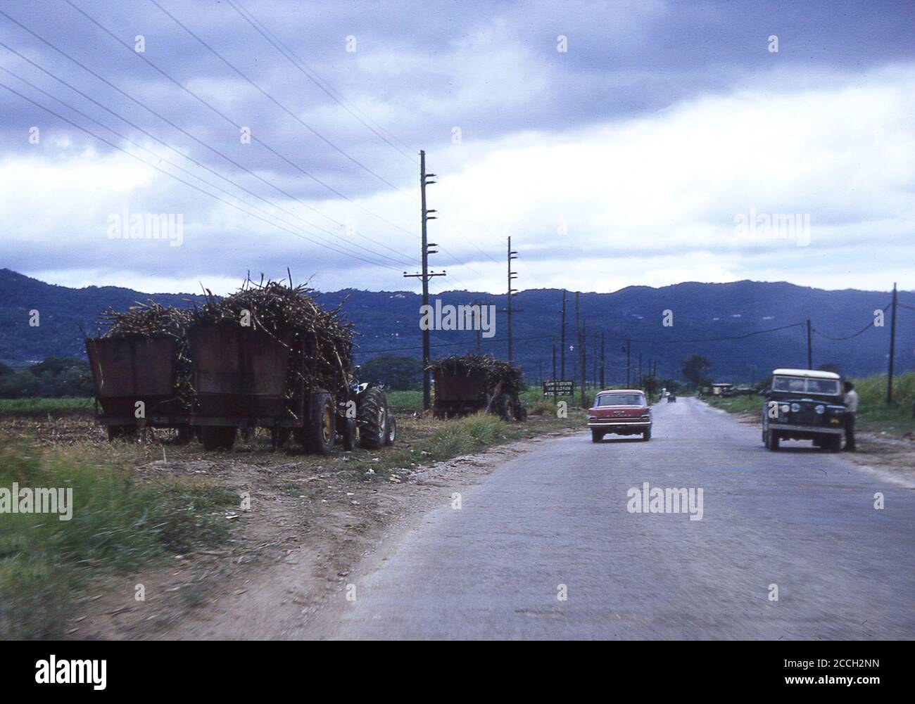 Ernte des Zuckerrohrs, Jamaika, 1970. Traktorwagen oder Waggons, die mit dem Erntegut gefüllt sind, stehen am Rand eines Feldes neben einer offenen Landstraße. Stockfoto