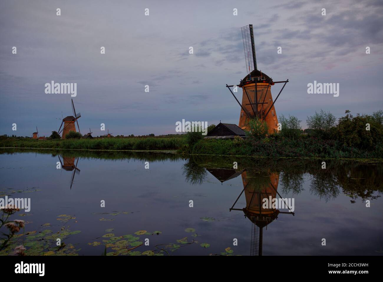 Mühlen bei Kinderdijk (Niederlande) am Abend beleuchtet Stockfoto