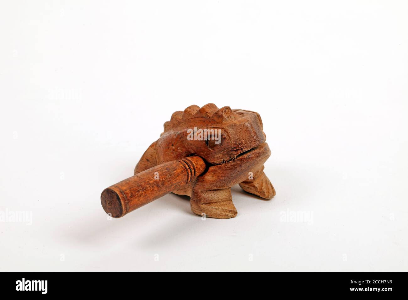 Eidechse Oder Fisch Guiro Stockfotos Und Bilder Kaufen Alamy
