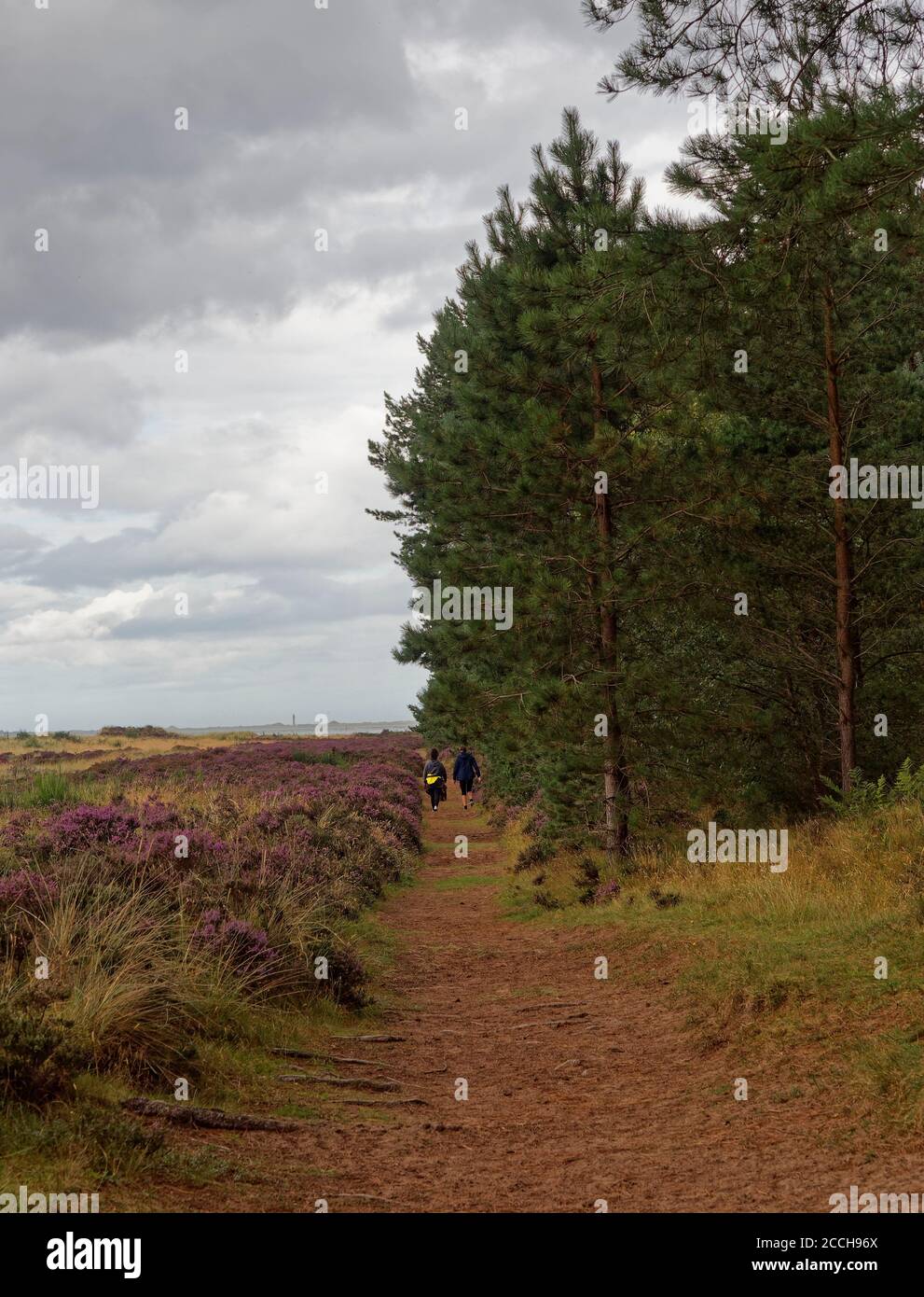 Zwei Wanderinnen auf dem Fußweg nach Leuchars rund um Tay Heath und Tentsmuir Forest an der Ostküste Schottlands an einem nassen Augusttag. Stockfoto
