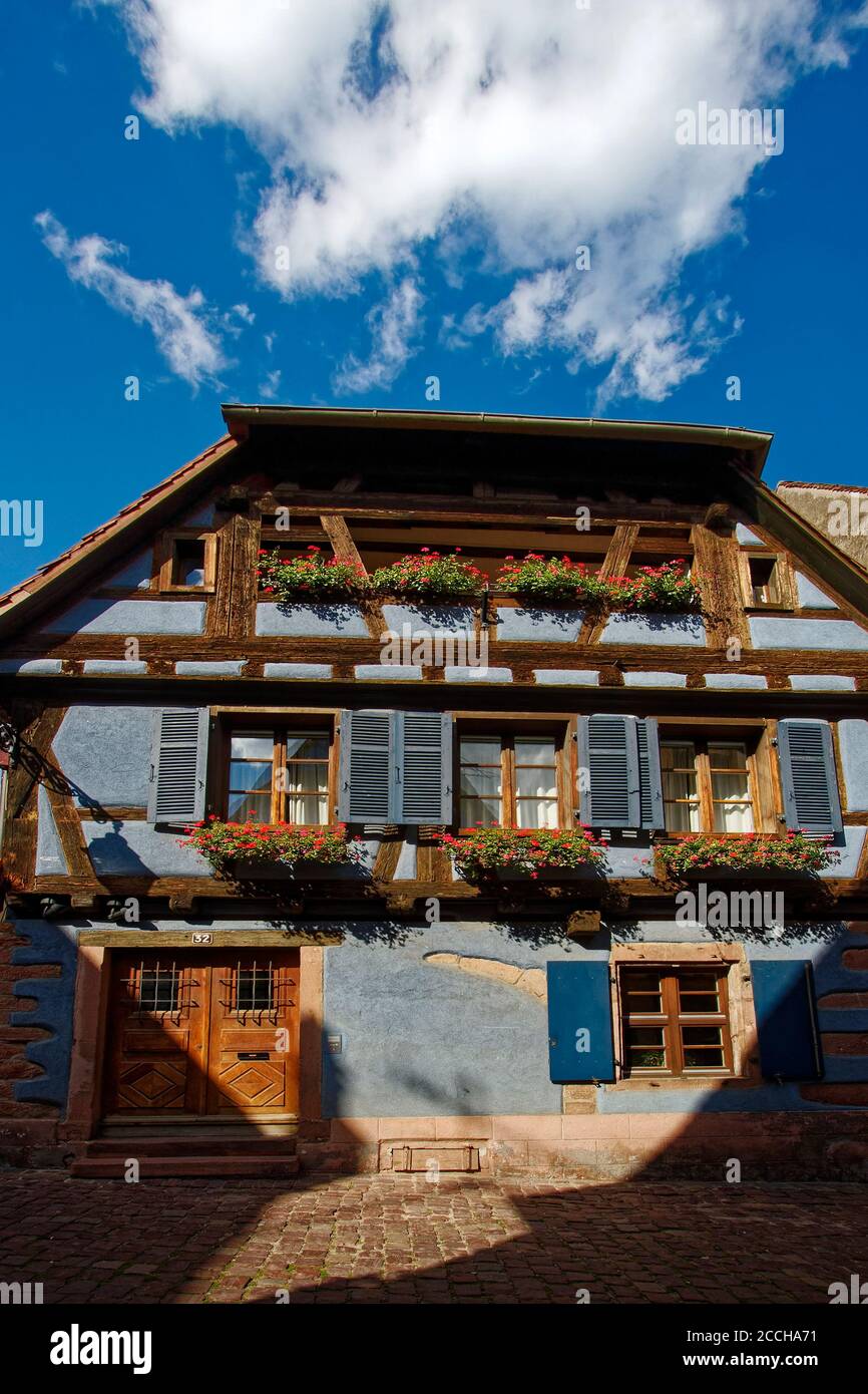 Fachwerkgebäude, hellblauer Stuck, blaue Fensterläden, Fensterkästen, rote Geranien, Blumen, doppelte Holztüren, Altstadt; Straßenszene; befestigt Stockfoto