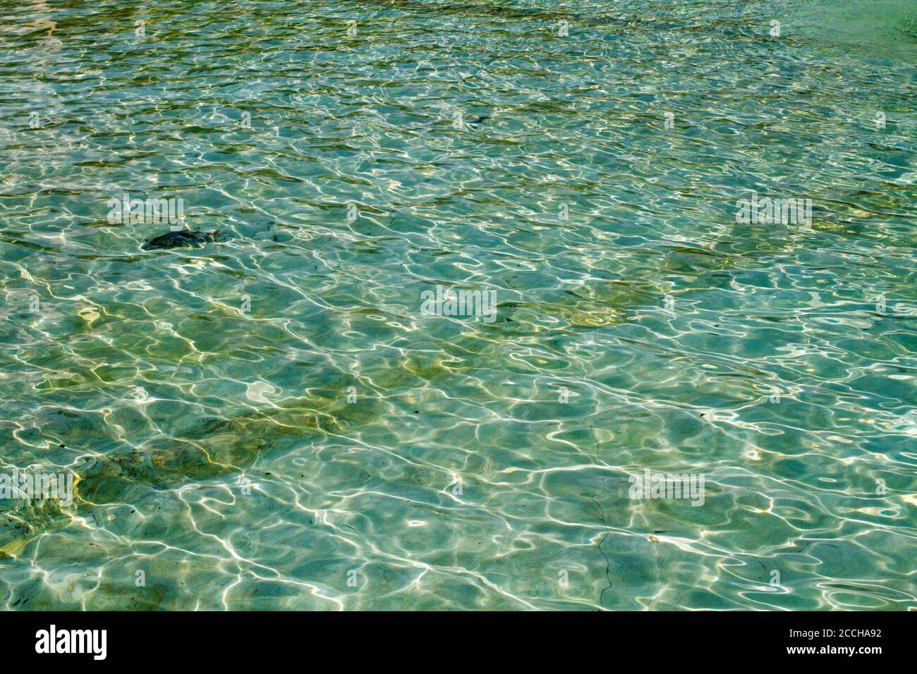 Die Sonne im Wasser. Licht Spiele von der Sonne im Wasser eines flachen Pools erstellt. Stockfoto