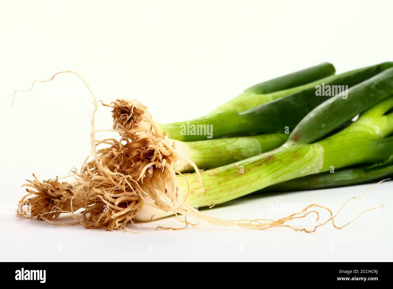 Bündel von Frühlingszwiebeln isoliert auf weißem Hintergrund Stockfoto