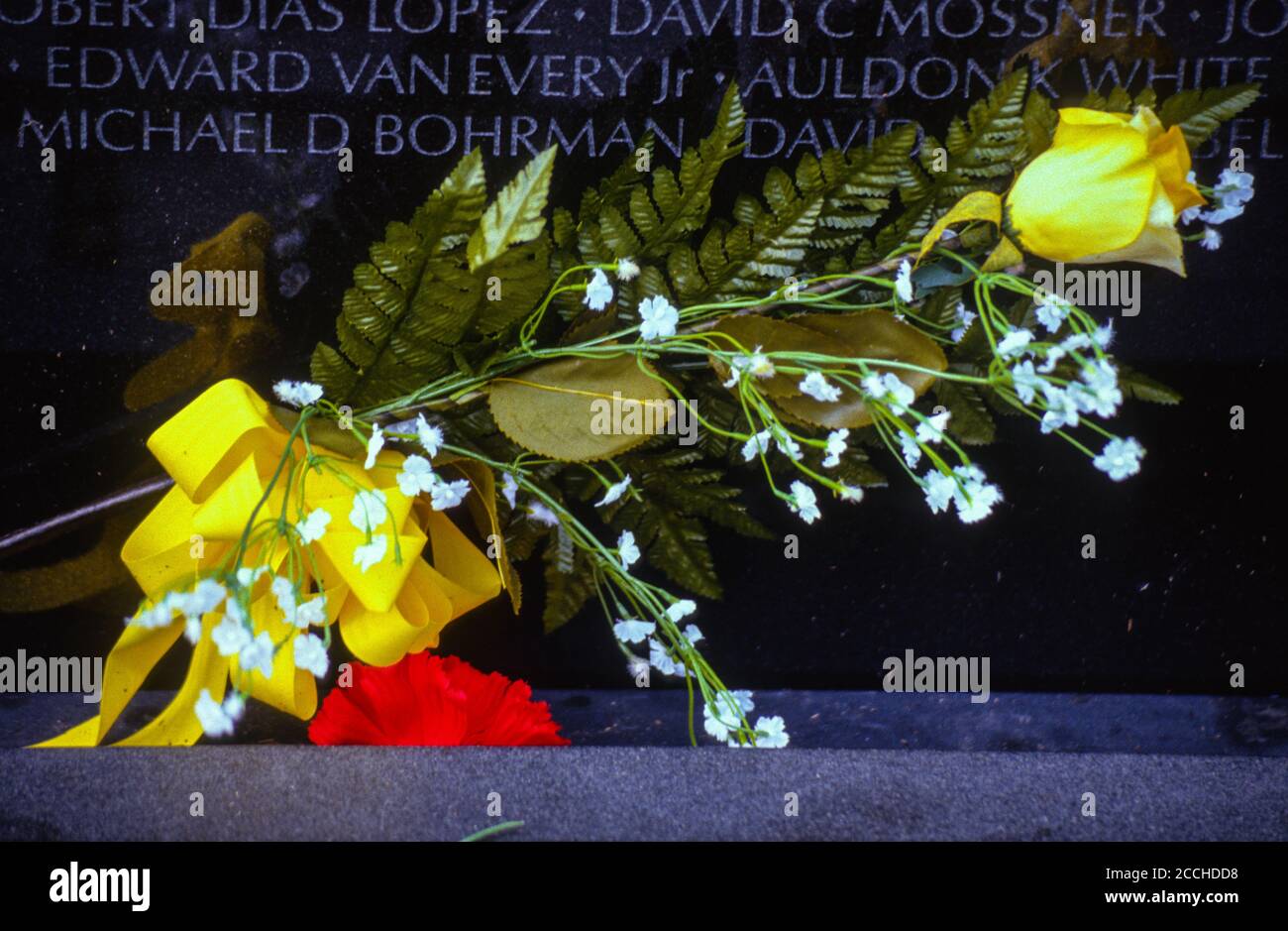 Vietnam Memorial, Washington, DC. Blume in Erinnerung an einen gefallenen Veteranen. Stockfoto