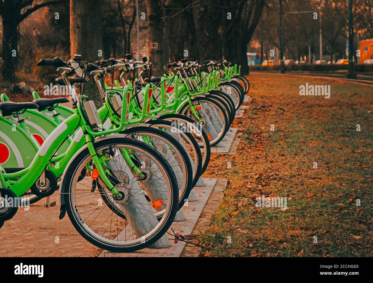 Eine Reihe grüner Fahrräder im Park. Verleih von Fahrrädern. Nahaufnahme grünen Fahrrad in Fahrrad-Parkplatz Stockfoto