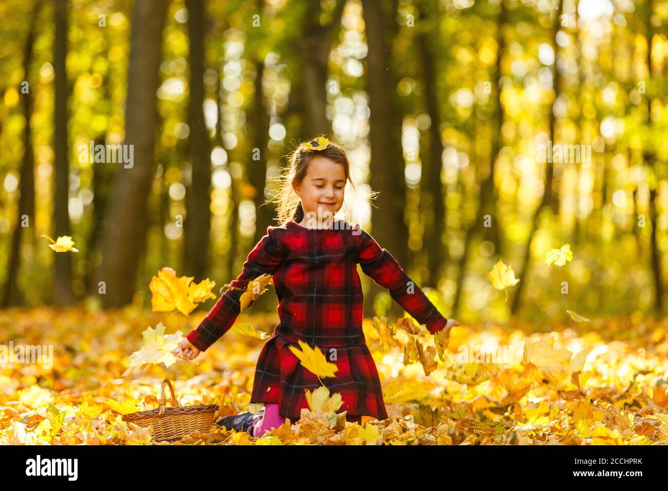 Kleines Mädchen sammelt Laub im Herbst. Stockfoto