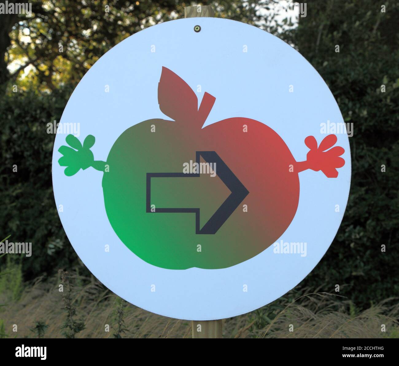 Wählen Sie Ihre eigenen, Äpfel, Straßenschild, Cartoon-Stil, fuhr Obstgärten, Norfolk Stockfoto