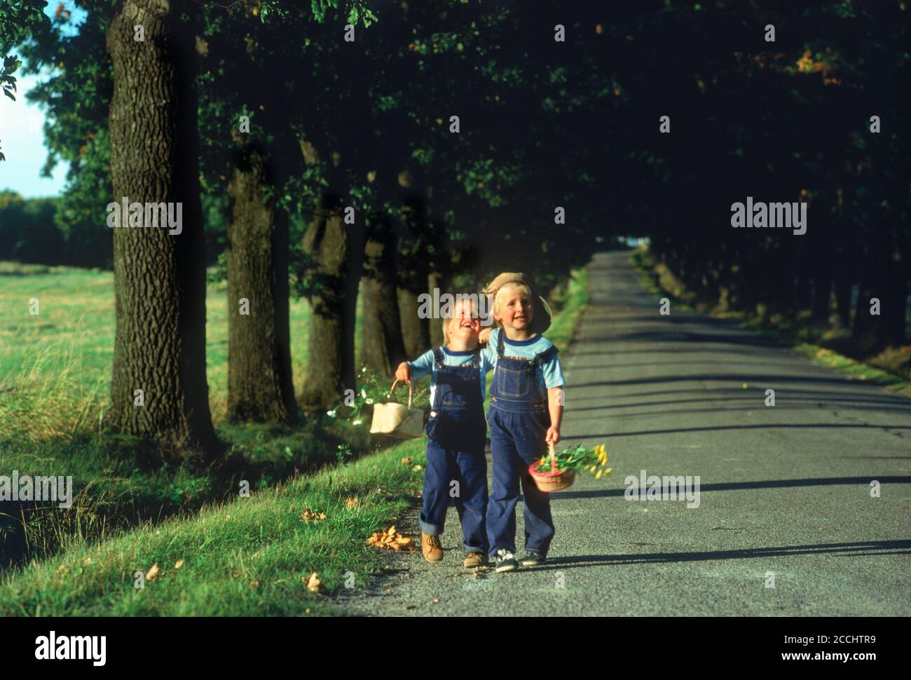 Zwei Jungen, brüderliche Liebe, zu Fuß entlang von Bäumen gesäumten Landstraße in Schweden im Sommer Stockfoto