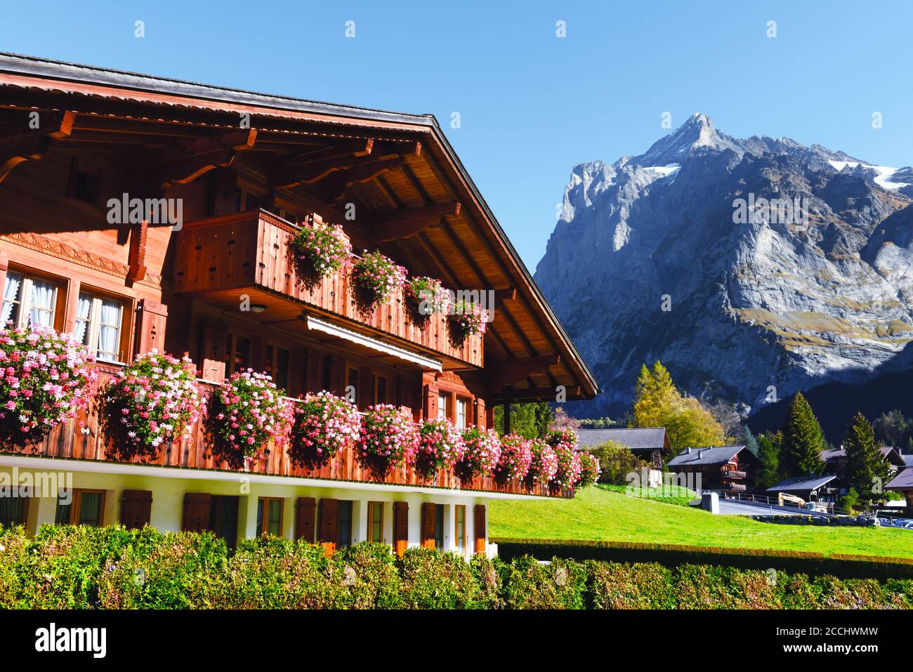 Malerische Herbstlandschaft mit Holzhaus mit Blumen und Bergen Hintergrund im Dorf Grindelwald in den Schweizer Alpen Stockfoto