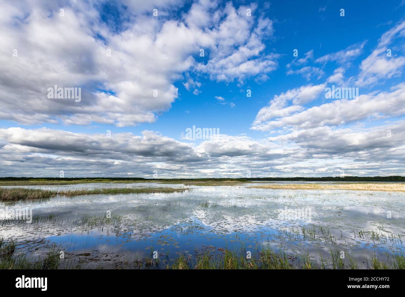 Cumulus und Cumulus stratus Clouds, Phantom Lake. Crex Meadows WMA, WI, USA, Frühsommer, von Dominique Braud/Dembinsky Photo Assoc Stockfoto