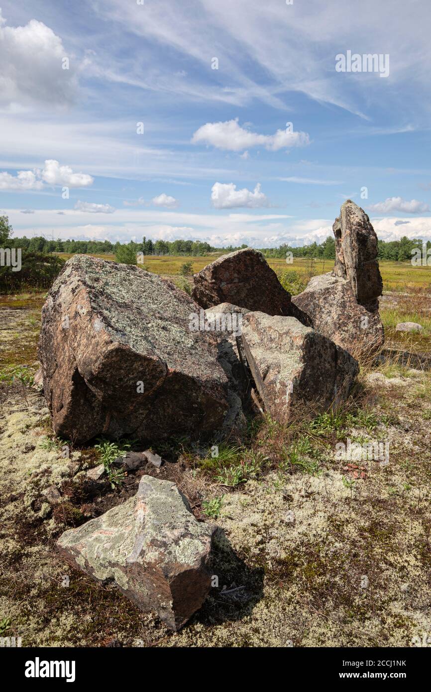 Haufen von großen erratischen Felsen auf Gletscherfelsen auf dem Torrance Barrens Trail in Muskoka Stockfoto