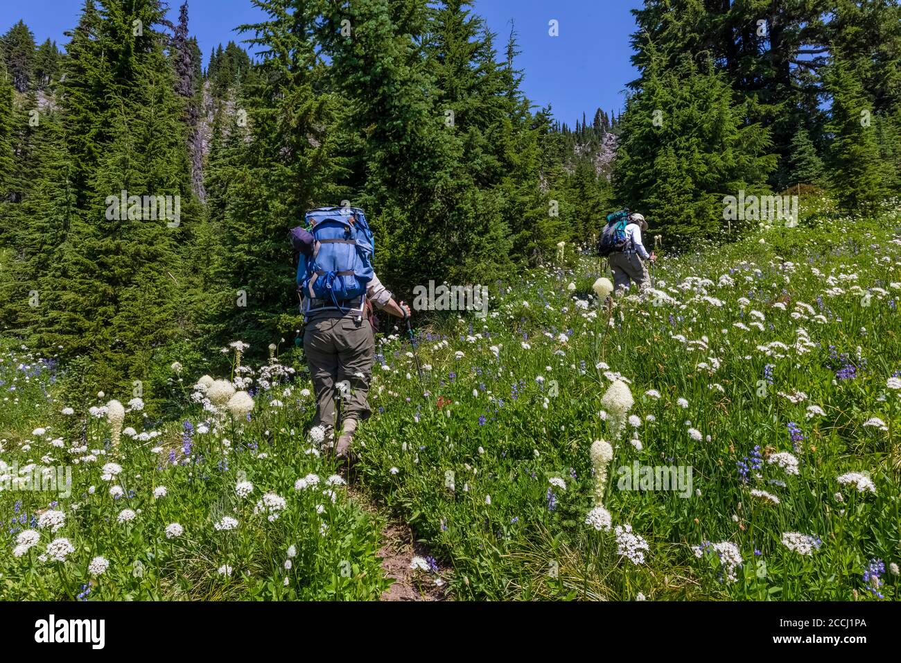 Karen Rentz und John Michaels wandern in Richtung Cispus Basin in the Goat Rocks Wilderness, Gifford Pinchot National Forest, Washington State, USA [kein Modus Stockfoto