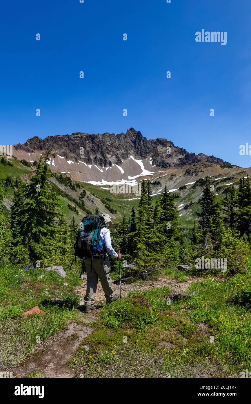 Joan Michaels bei fast 80 Jahre alt Wandern in Cispus Basin in the Goat Rocks Wilderness, Gifford Pinchot National Forest, Washington State, USA [No m Stockfoto