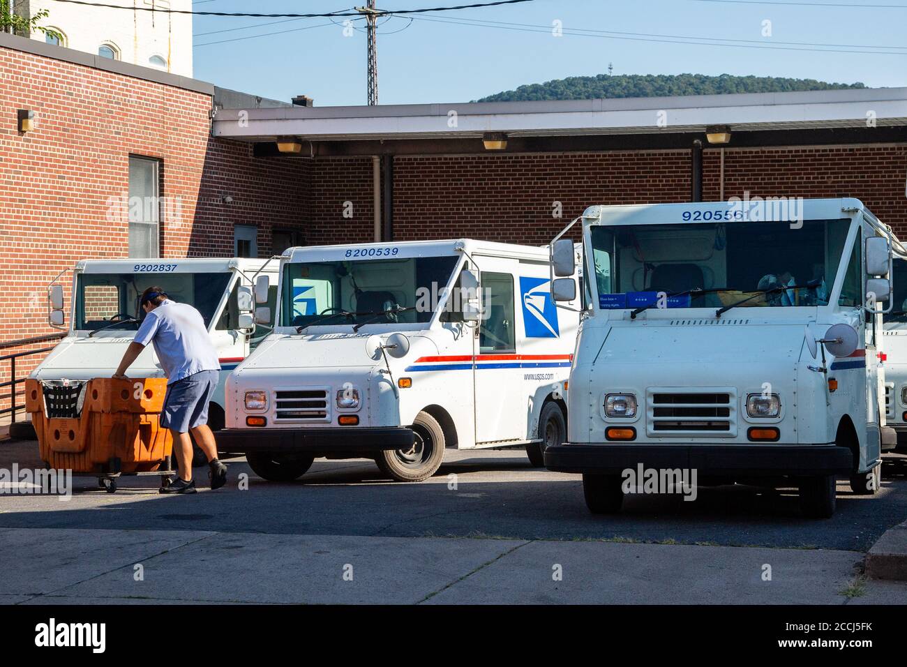 Danville, Usa. August 2020. Ein Mitarbeiter des United States Postal Service (USPS) erhält am 22. August 2020 die Post im Postamt in Danville, Pennsylvania. Organisationen wie MoveOn, SEIU, NAACP und unteilbare gesponserte Save the Post treffen sich bei den örtlichen Postämtern, um den Rücktritt von Postmeister General Louis DeJoy zu fordern und den Kongress zu bitten, den Postdienst zu schützen. (Foto von Paul Weaver/Pacific Press) Quelle: Pacific Press Media Production Corp./Alamy Live News Stockfoto
