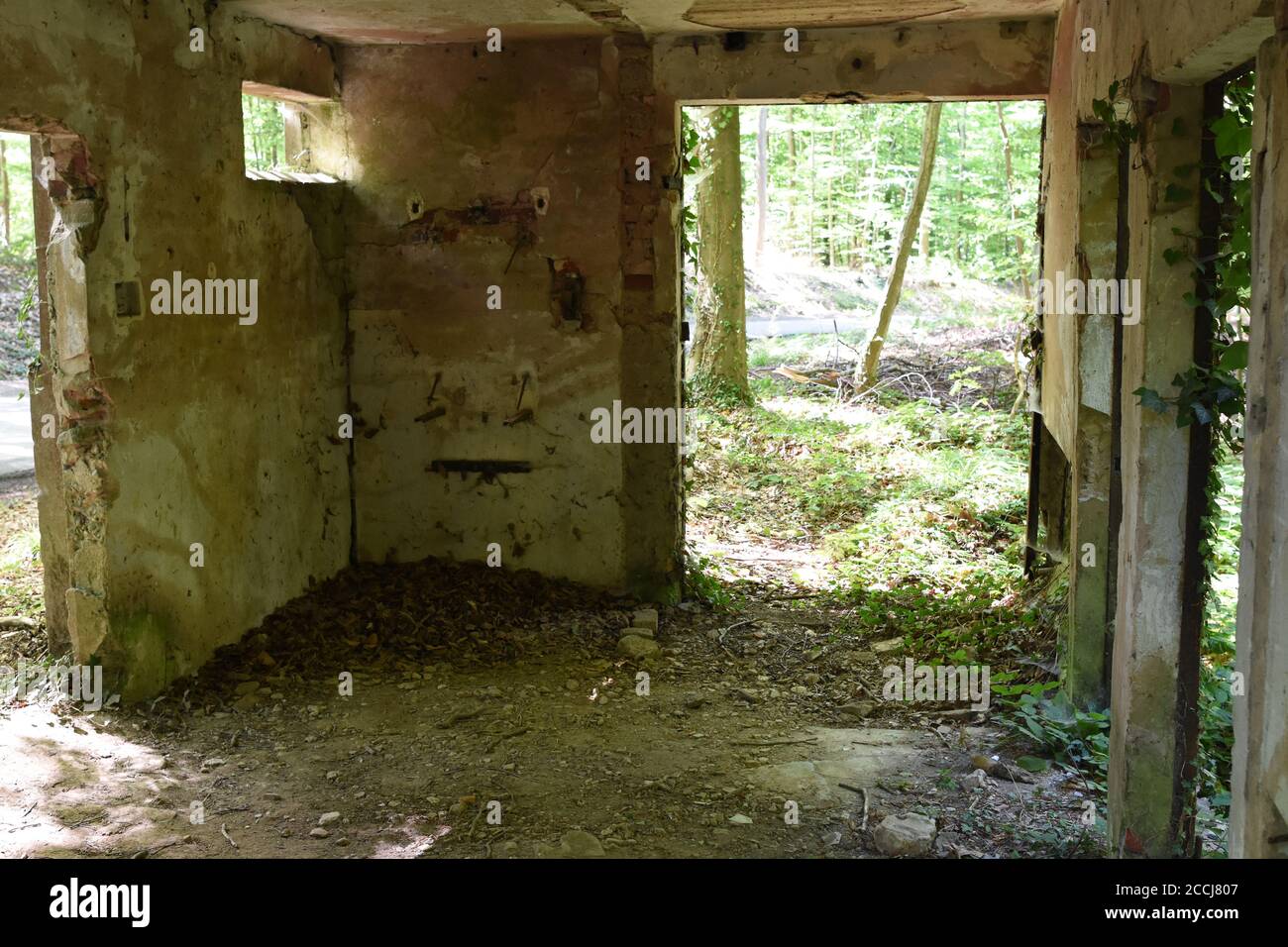 Ein altes Haus als Eigentümer oder unbeanspruchtes Eigentum, mit nur noch Mauern, im Wald stehend, ist eine Attraktion für Hausbesetzer und Obdachlose. Stockfoto