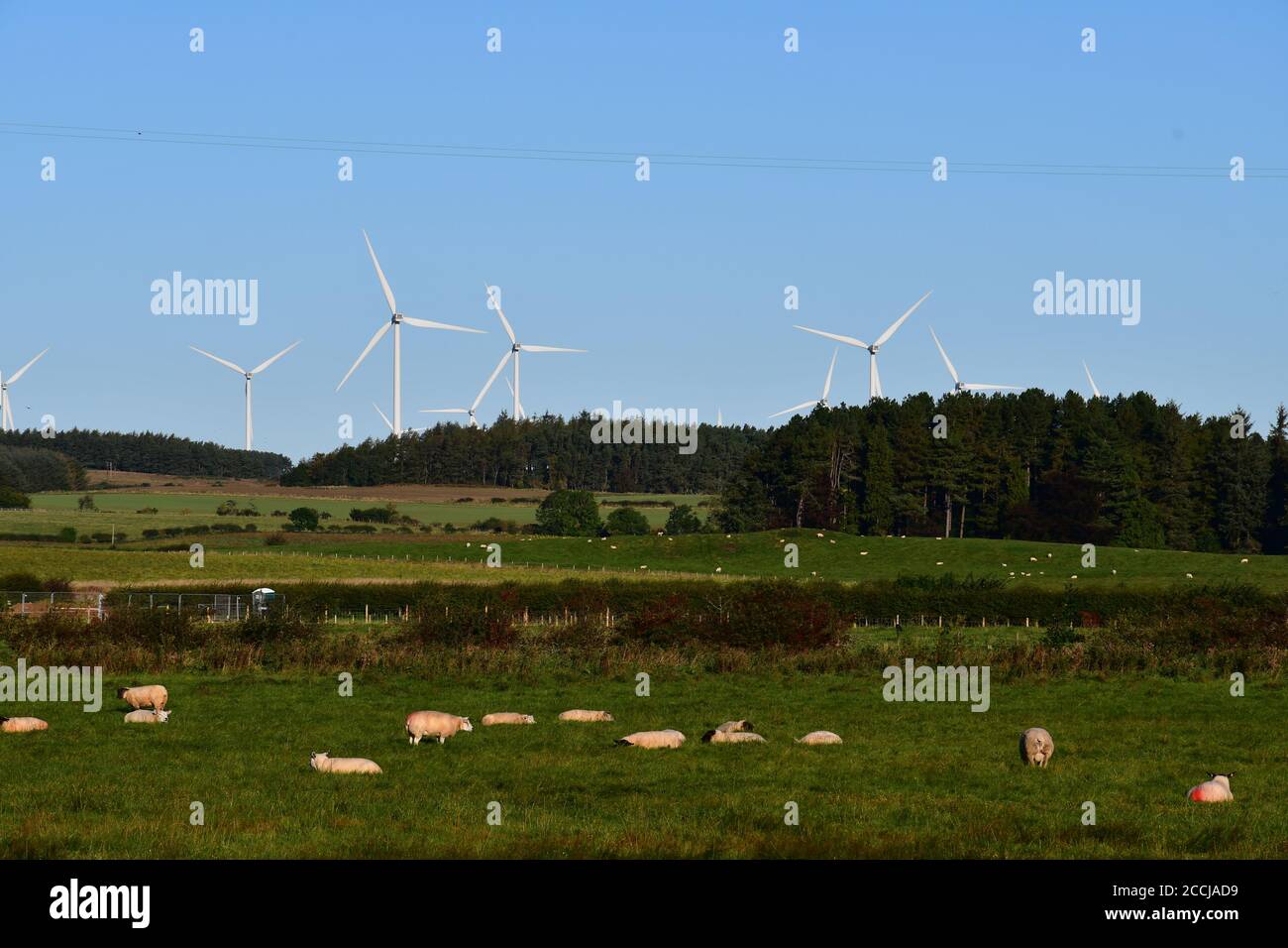 Eine Skyline von Windkraftanlagen in ländlicher landwirtschaftlicher Umgebung, die den Einsatz umweltfreundlicher nachhaltiger Energieerzeugung zeigt. Stockfoto