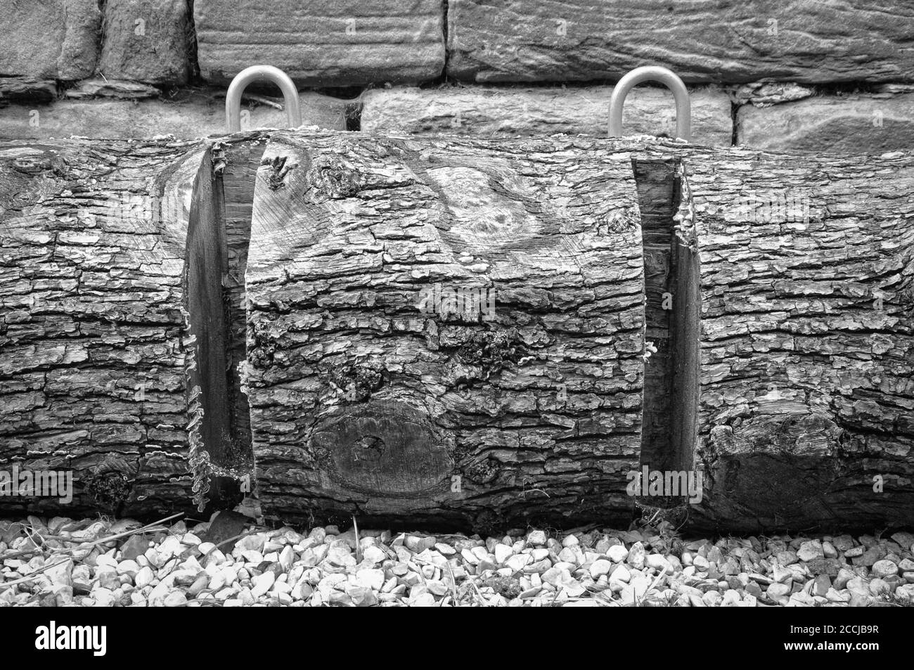 Schwarz-weißes Bild eines umweltfreundlichen Fahrradträgers aus einem Baumwagen. Stockfoto