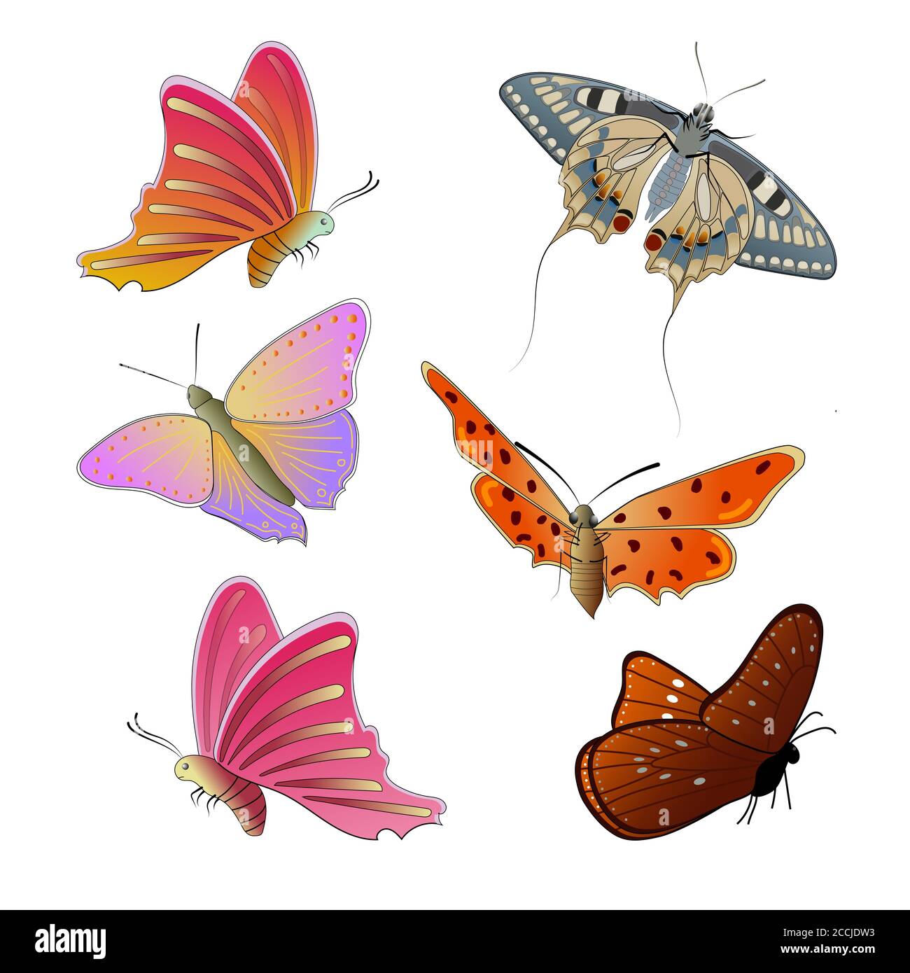 Set von bunten Schmetterlingen isoliert auf einem weißen Hintergrund. Fliegende  Schmetterlinge. Bunte Schmetterlinge mit schönen Mustern auf den Flügeln.  Vektor Stock-Vektorgrafik - Alamy