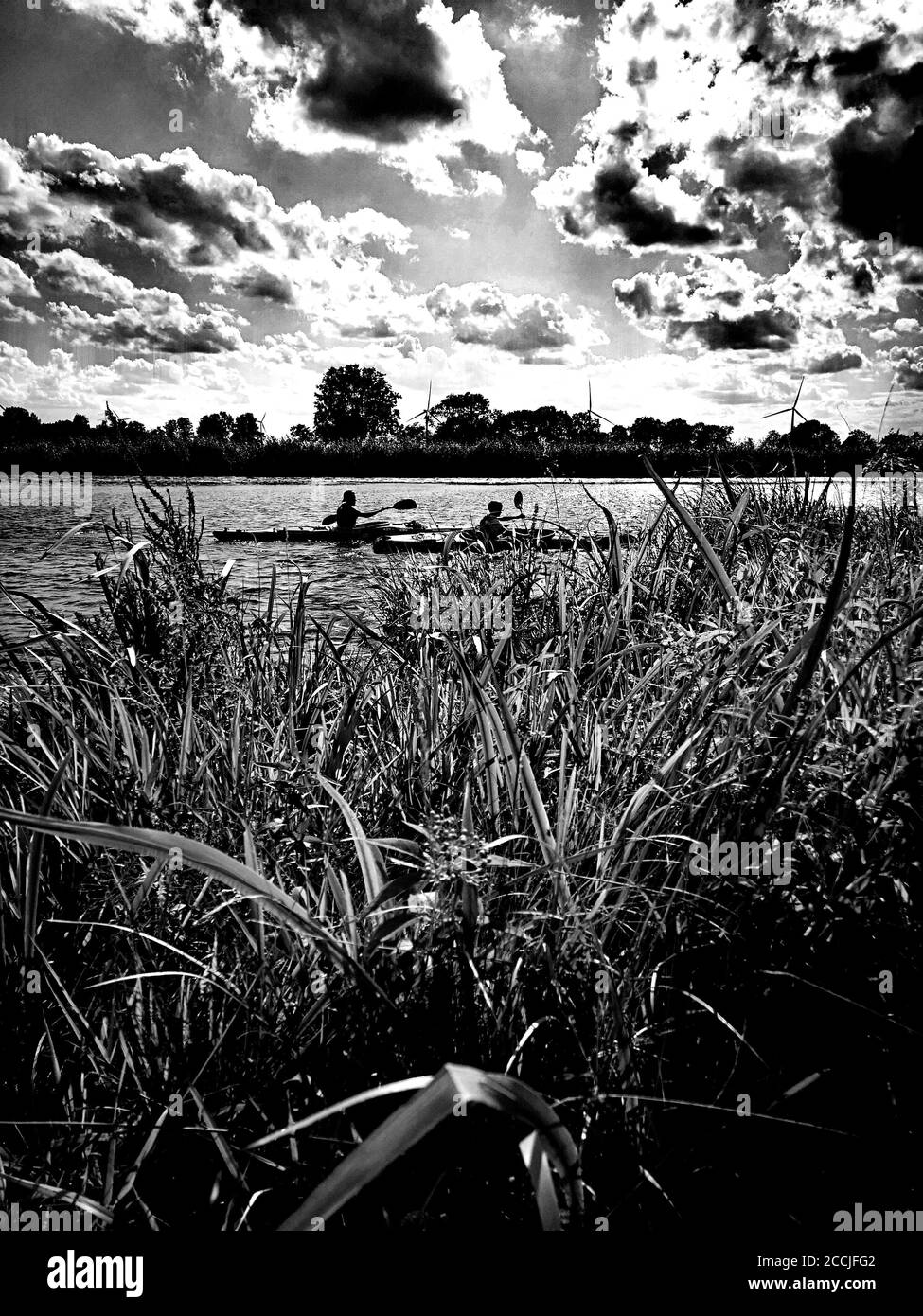 Paddeltour, Gose Elbe, Hamburg, Deutschland Stockfoto