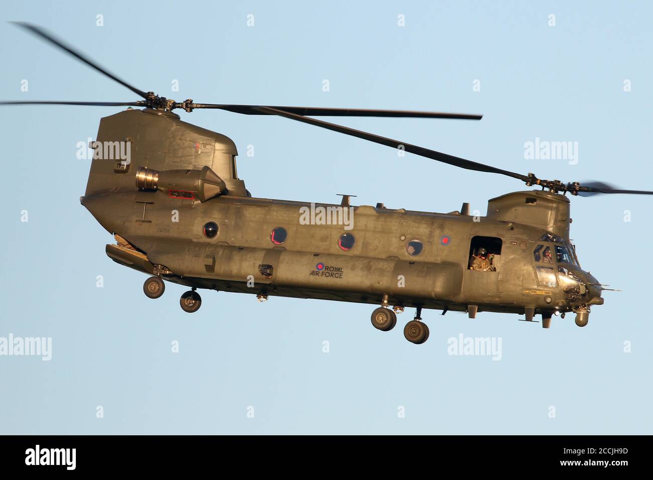 RAF Chinook beim Start vom Flugplatz Wattisham in Suffolk. Stockfoto