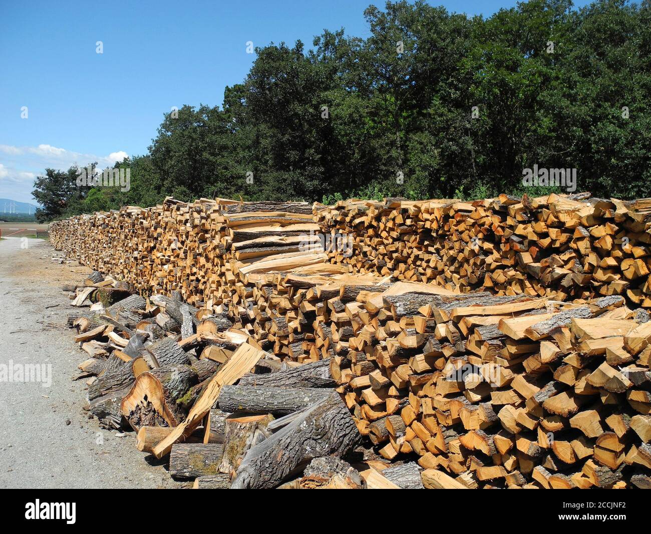 Österreich, Holzstapel mit Schnittholz, eine gemeinsame Waldbewirtschaftung Stockfoto