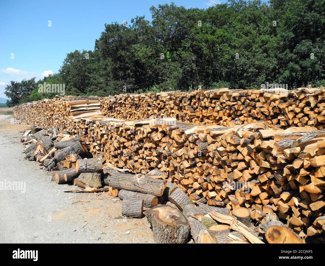 Österreich, Holzstapel mit Schnittholz, eine gemeinsame Waldbewirtschaftung Stockfoto