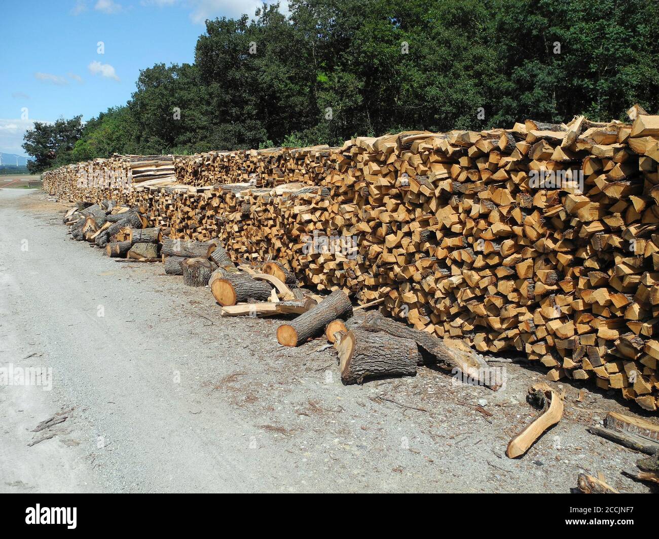 Österreich, Holzstapel mit Schnittholz, eine gemeinsame Waldbewirtschaftung Stockfoto