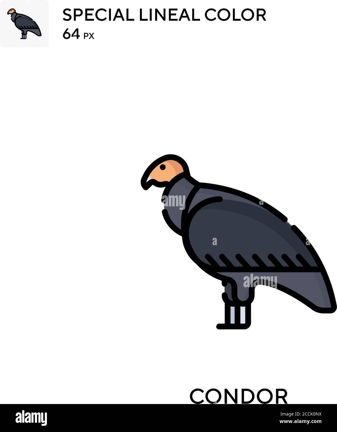 Kondor Special Lineal-Farbsymbol. Illustration Symbol Design Vorlage für Web mobile UI-Element. Perfekte Farbe modernes Piktogramm auf editierbare Kontur. Stock Vektor