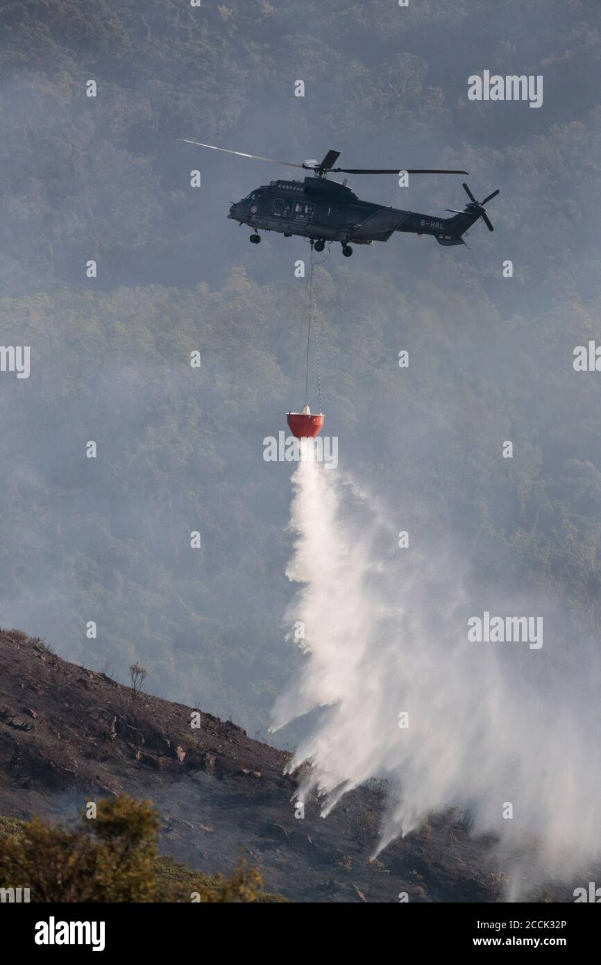 HK Government Flying Services, „Super Puma“ Hubschrauber mit Feuereimer, in der Nähe von Fanling, New Territories, Hongkong 28. Oktober 2018 Stockfoto