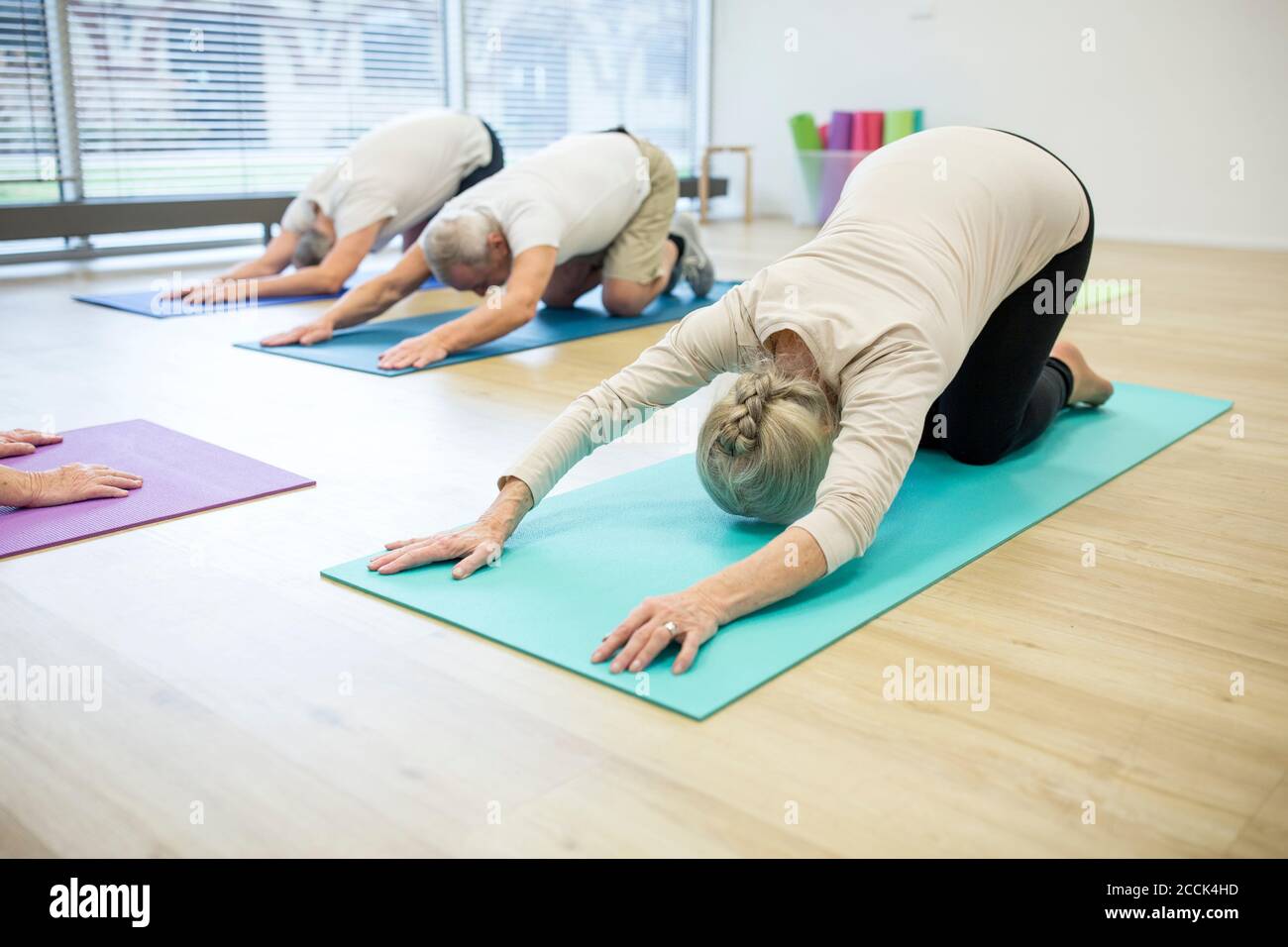 Gruppe aktiver Senioren, die gemeinsam Yoga praktizieren Stockfoto