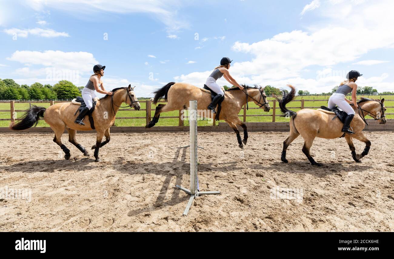 Junge Frau, die auf einem Pferd reitet und über die Hürde springt Stockfoto