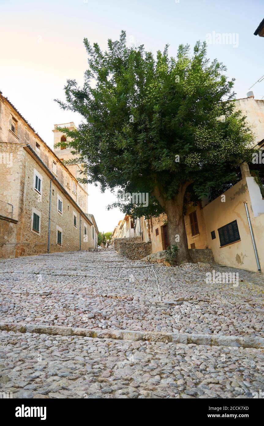 Carrer de les Creus gepflasterte Straße in der Nähe von Calvari Schritte in der Altstadt von Pollença (Pollensa, Mallorca, Balearen, Spanien) Stockfoto